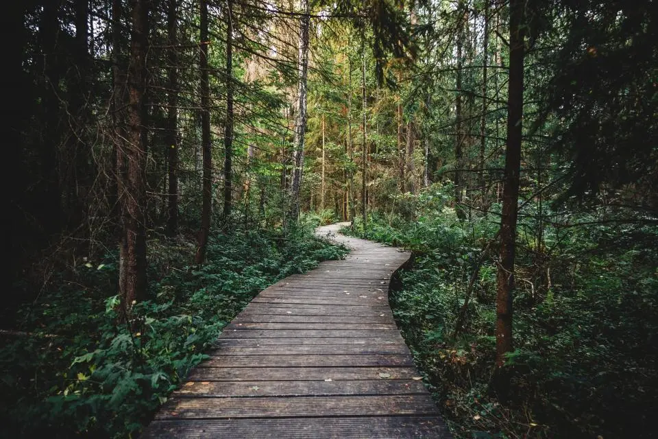 The walking trail through the community